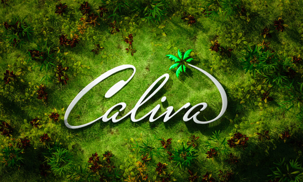 Caliva case study cover