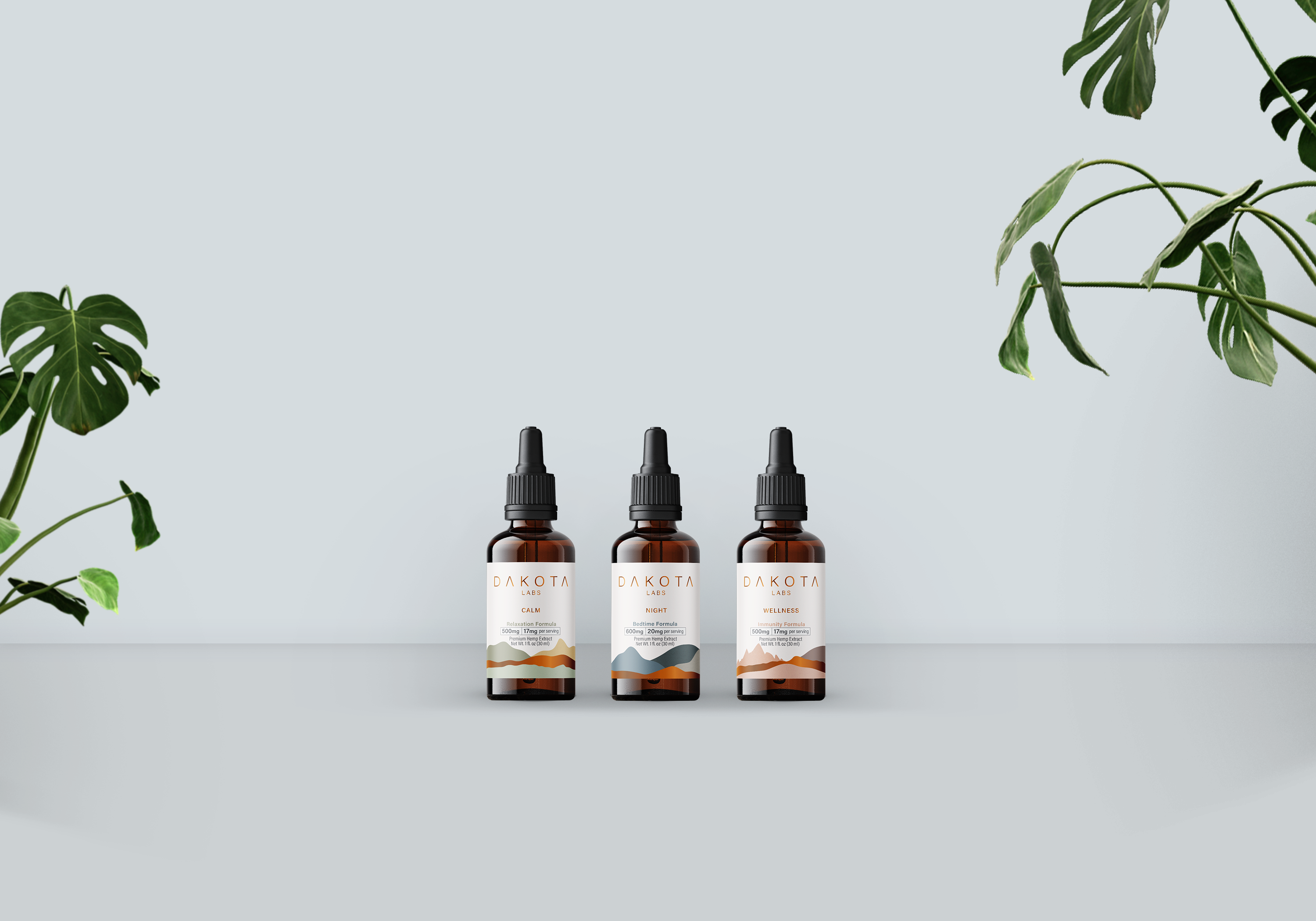 Dakota Labs case study top banner