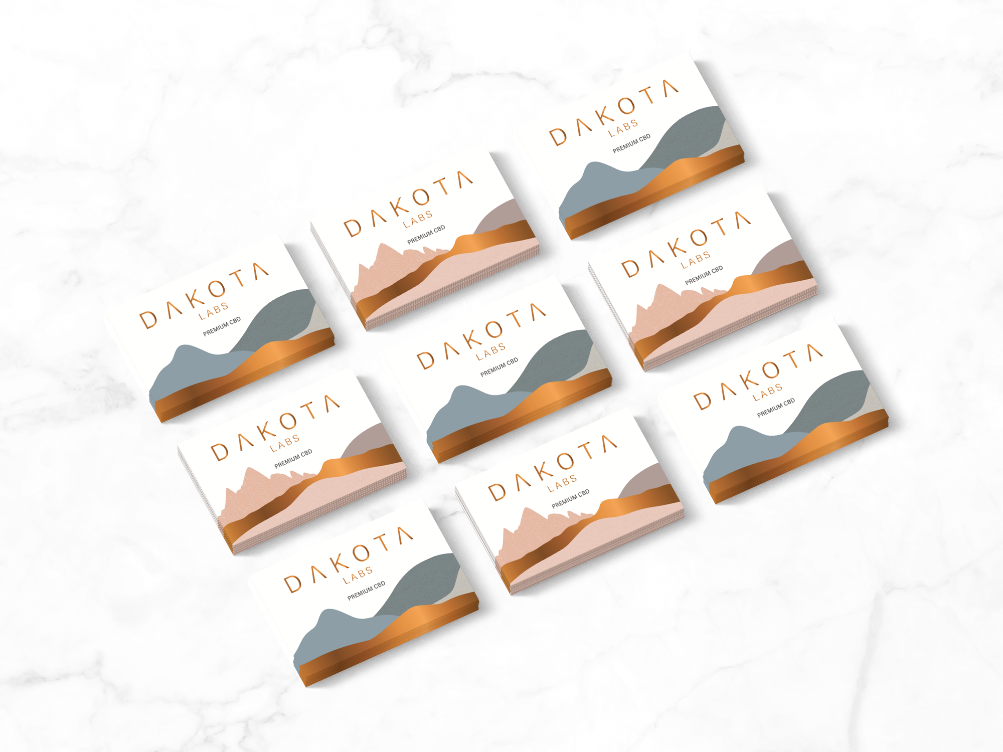 Dakota Labs business cards mockup